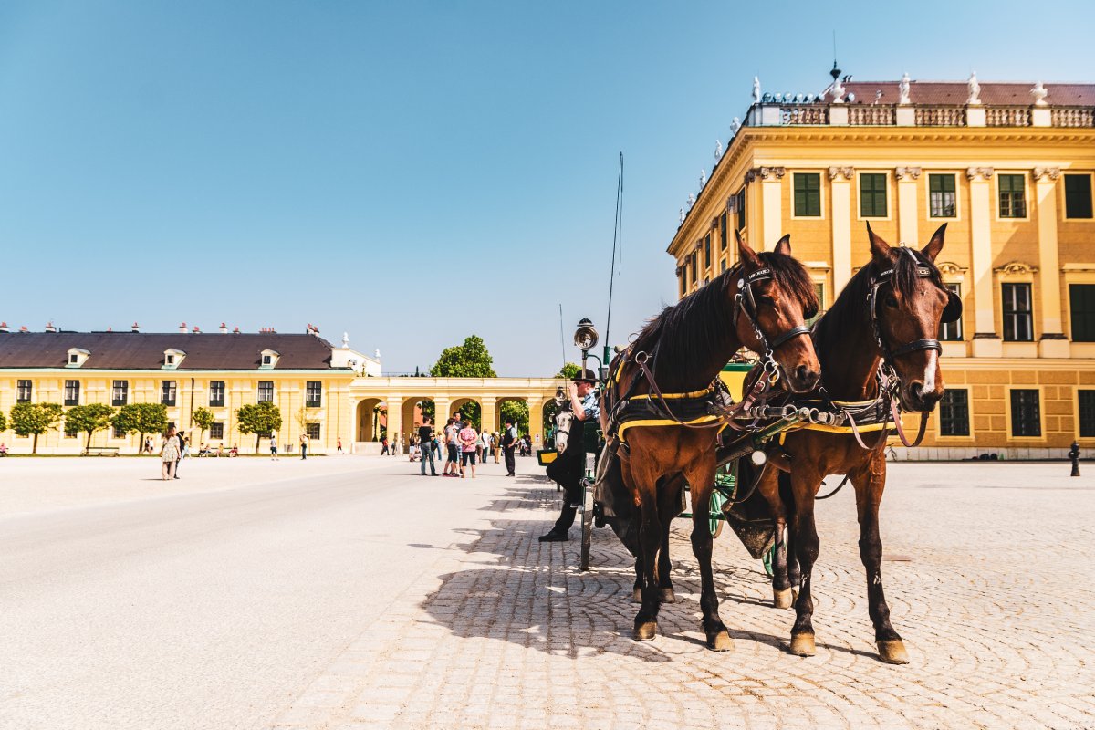 Essential Visitor Tips for Vienna\'s Royal Palaces